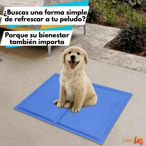 Alfombra Refrigerante Pet Cool Mat (50x40 cm).